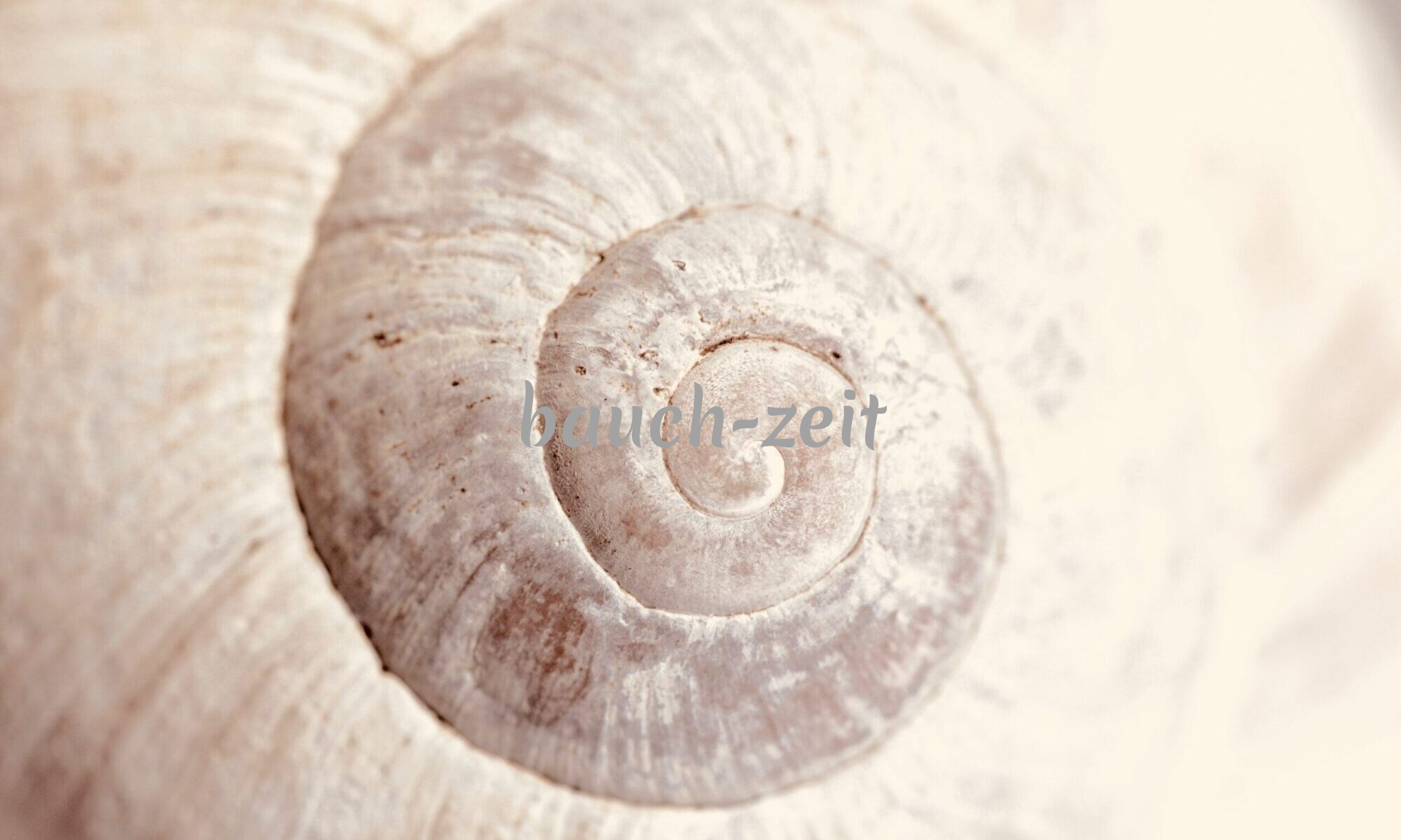 Bauchzeit